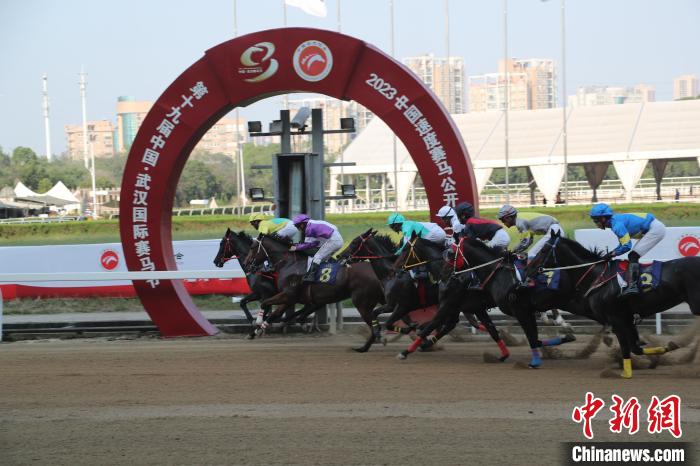 中国速度赛马公开赛武汉站开启江城赛马季，开